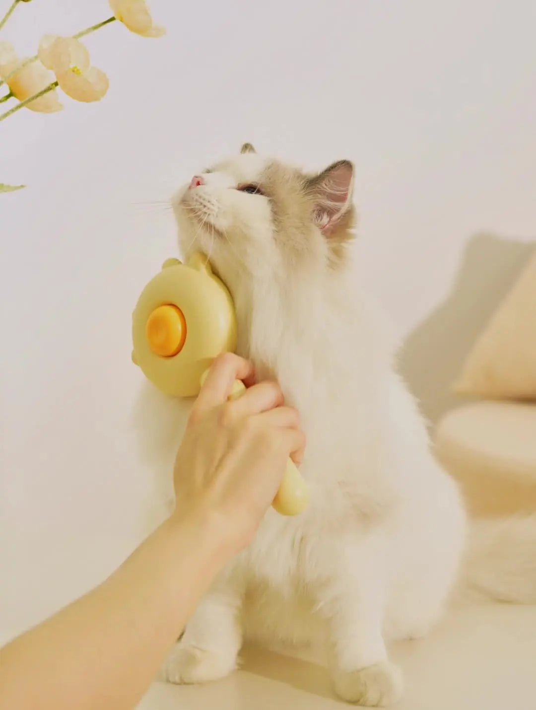 Cepillo de acero inoxidable para el cuidado del pelo